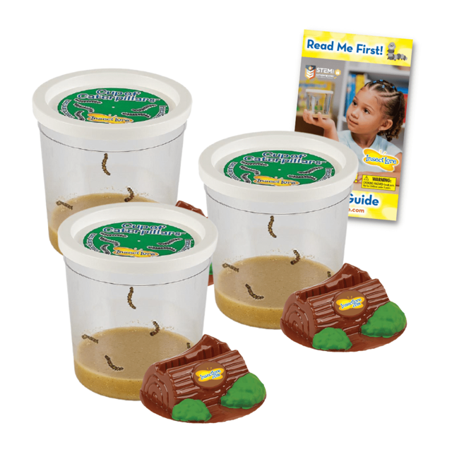 Three Cups of Caterpillars™ for $30!