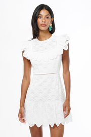 Nisha Cotton Eyelet Embroidered Mini Dress