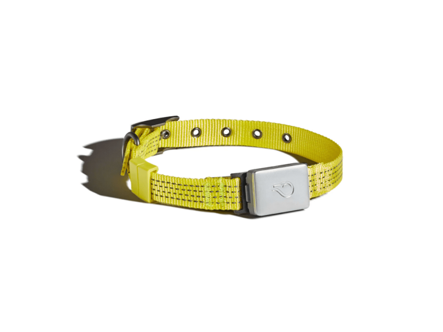 Switch Replacement Dog Collar