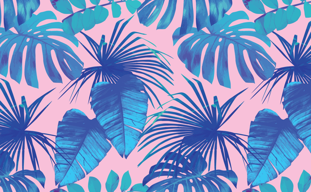 Miami Palms | Wallpaper