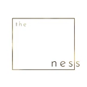 the ness logo