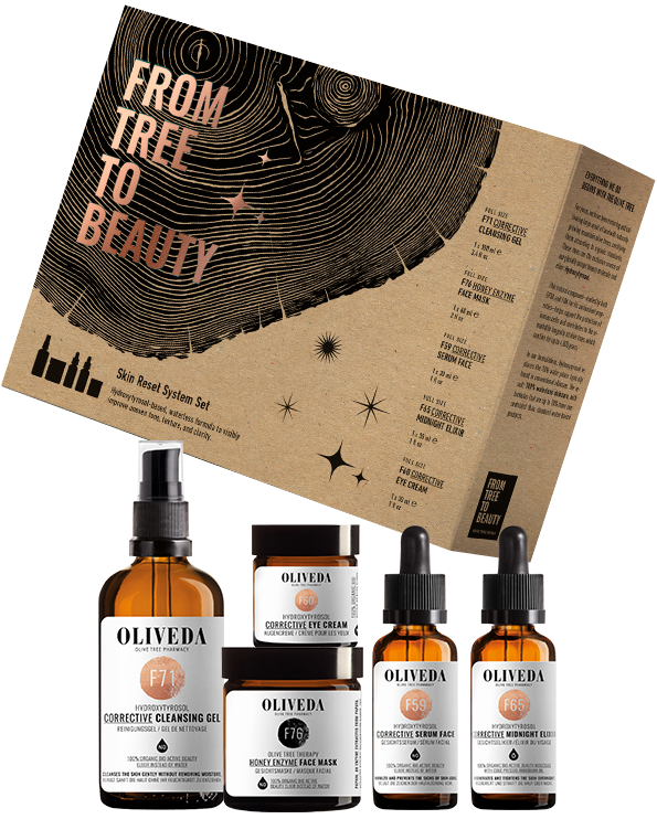 Skin Reset System Set - Holiday Season