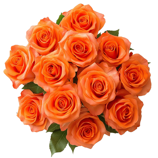 Orange Roses Sale