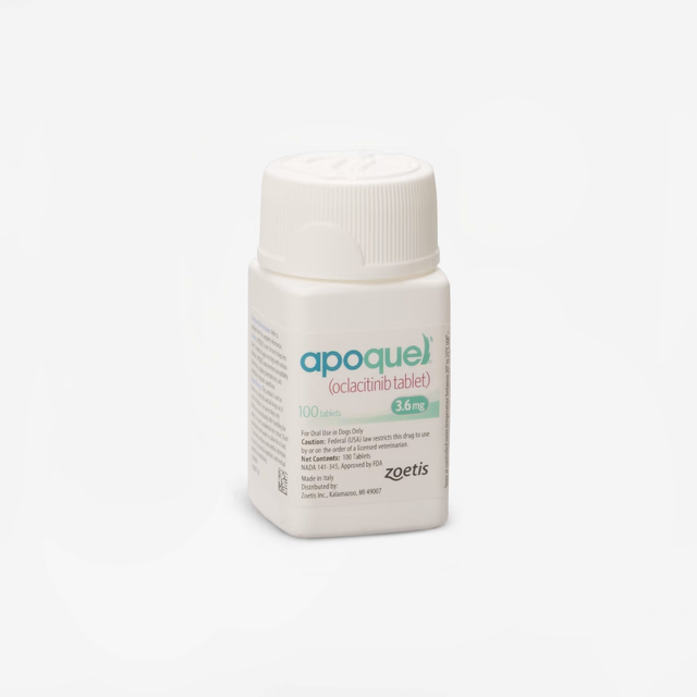 Apoquel (Rx)