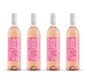 Day & Night Fresh Strawberry Margarita Bundle