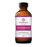 Helichrysum