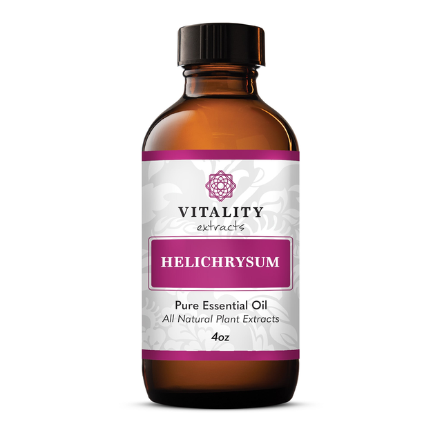 Helichrysum