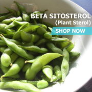 Beta Sitosterol (Plant Sterol) Powder Bulk