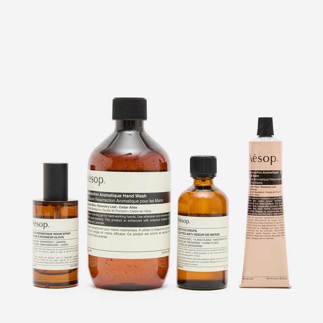 Aesop Screen 1 Elaborate Home Offering Set