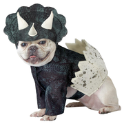 Animal Planet Hatching Triceratops Dino Pup Halloween Dog Costume