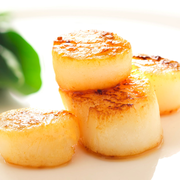 Sizzlefish Prime Plus Subscription