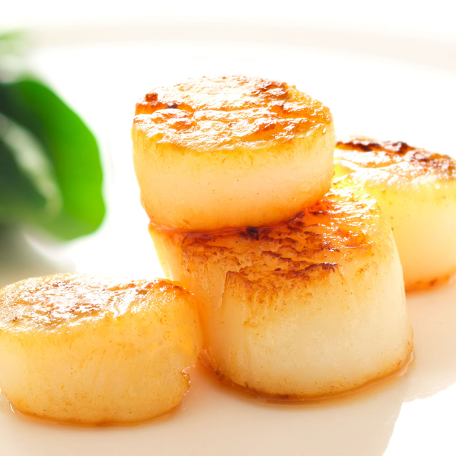 Sizzlefish Prime Plus Subscription