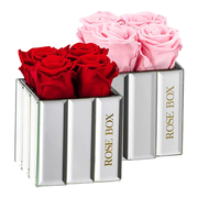 Mini Modern Mirror Bundle