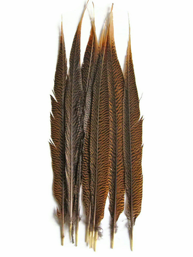 50 Pieces - 20-25" Natural Golden Pheasant Tail Wholesale Feathers (Bulk)