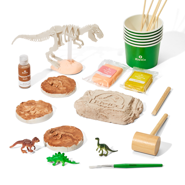 Paleontologist Starter Kit