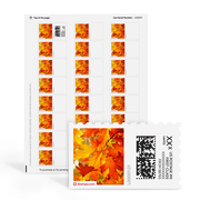 Turning Leaves NetStamps Sheets