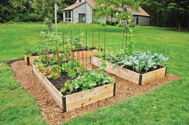 Deep Root Cedar Raised Beds, 4' Wide (14" D)