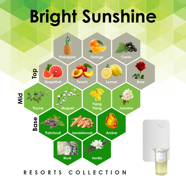 Scent Machine Room with Fragrance Oil