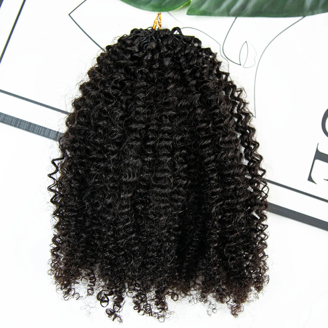 Afro Kinky Curly Human Crochet Hair