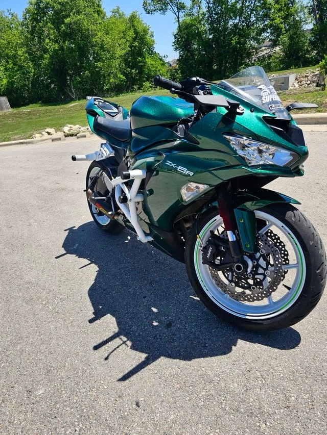 Amotopart 2019-2023 Kawasaki ZX6R Green Fairing Kit