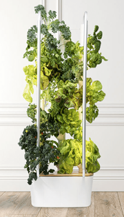 Gardyn Home Device 3.0 - Gardyn