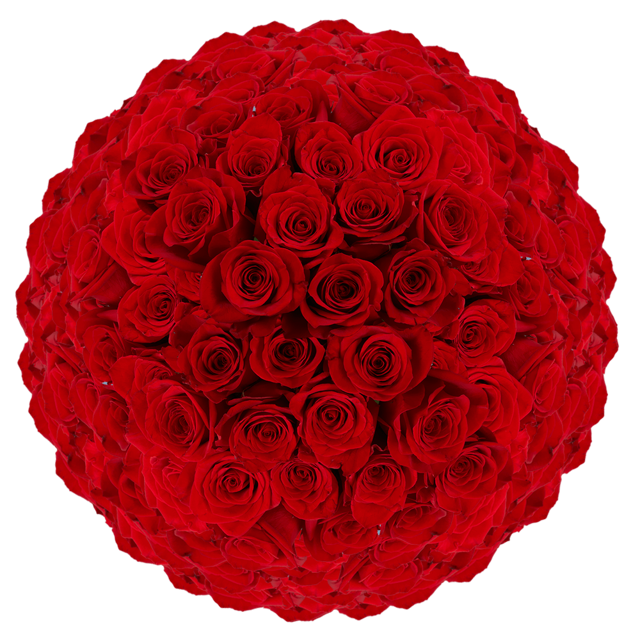 Red Roses Fresh Bulk Flowers Delivery