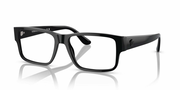 VE3342 Eyeglasses