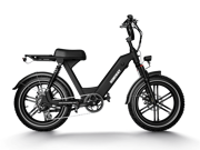 Escape Pro / Long Range Moped-Style Electric Bike