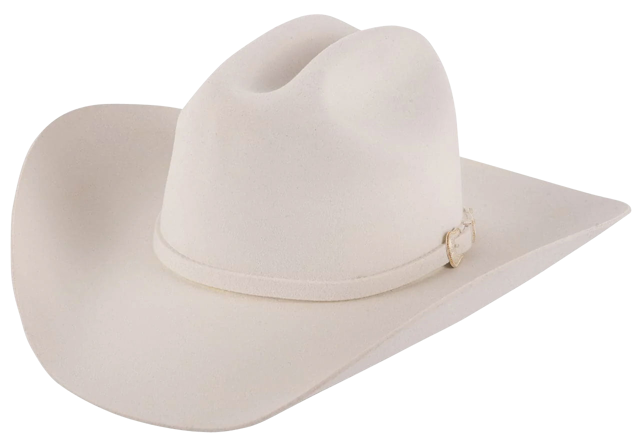 Stetson 3X Oakridge Felt Cowboy Hat - White