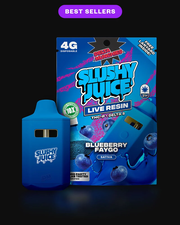 Blueberry Faygo Slushy Juice 4G THC-P Vape