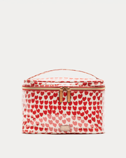 Train Case Cosmetic - Baby Hearts