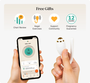 kegg fertility tracker and kegel ball