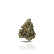 THC-A Flower - Super Lemon Haze (Indoor) (Sativa Hybrid)