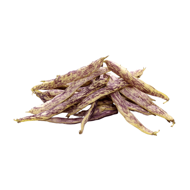 Dragon Tongue Beans