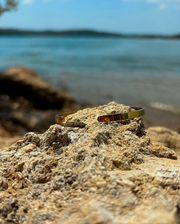 Gold PHEONIX Cuff — PHEONIX