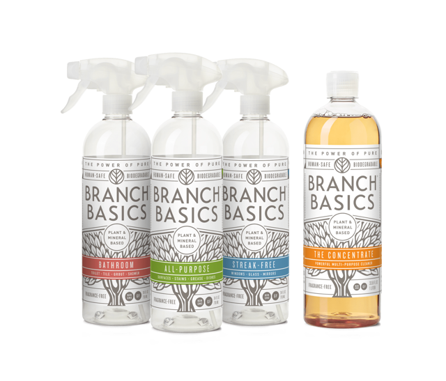 Cleaning Essentials Kit