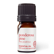 Ponderosa Pine Essential Oil