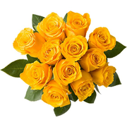 Overjoyed Boutique Rose Yellow Orange Guar - 12 Stem