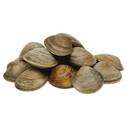 Fresh Littleneck Clams - 1 lb