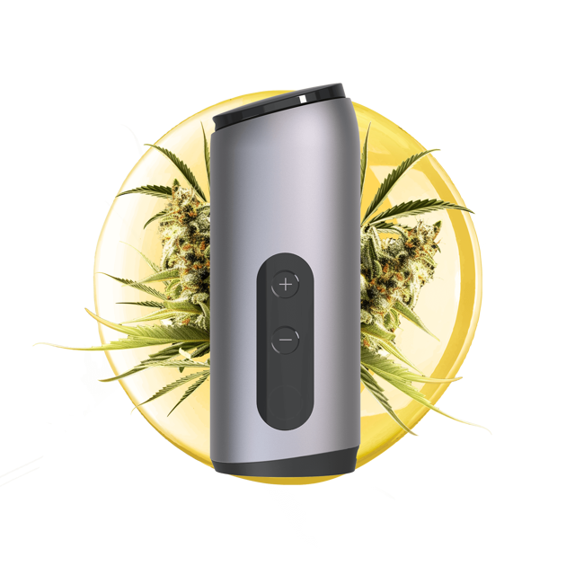 AUXO Celsius | Dual-Use Smart Vaporizer