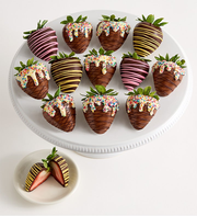 Artisan Belgian Chocolate Covered Summer Scoops