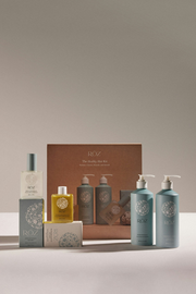 The Healthy Hair Kit