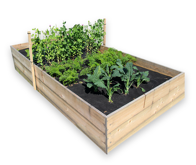 Design Your Own Garden