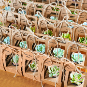 Succulent Wedding Favors Kraft Box(Tag Custom Supported)