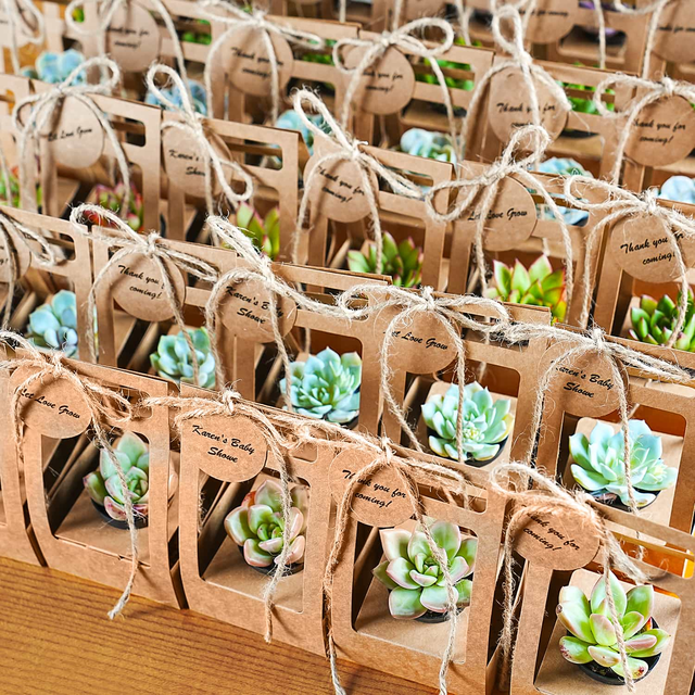 Succulent Wedding Favors Kraft Box(Tag Custom Supported)