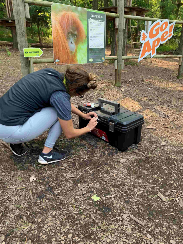 Delaware Forest Escape Game with Go Ape