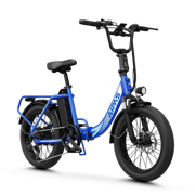 Aipas®A4 Gentry Ebike