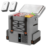 Litheli FrozenPack: The First Backpack Car Fridge|Includes 2 x 4.0Ah  Batteries