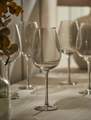 Six Smoked Wine Glasses