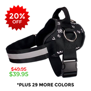 Joyride Harness 1.0 for Dogs Under 10lbs - Size XS